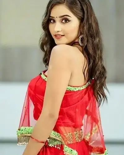 Escort In Sawayajpur